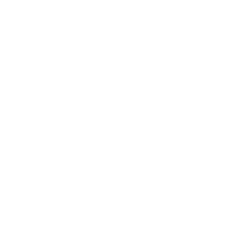 Uva da tavola

Frutti di bosco




info