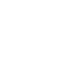 Zucchine






